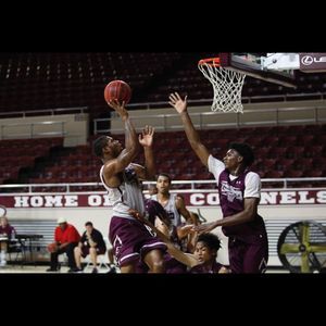 Meet your Posher, Marlon